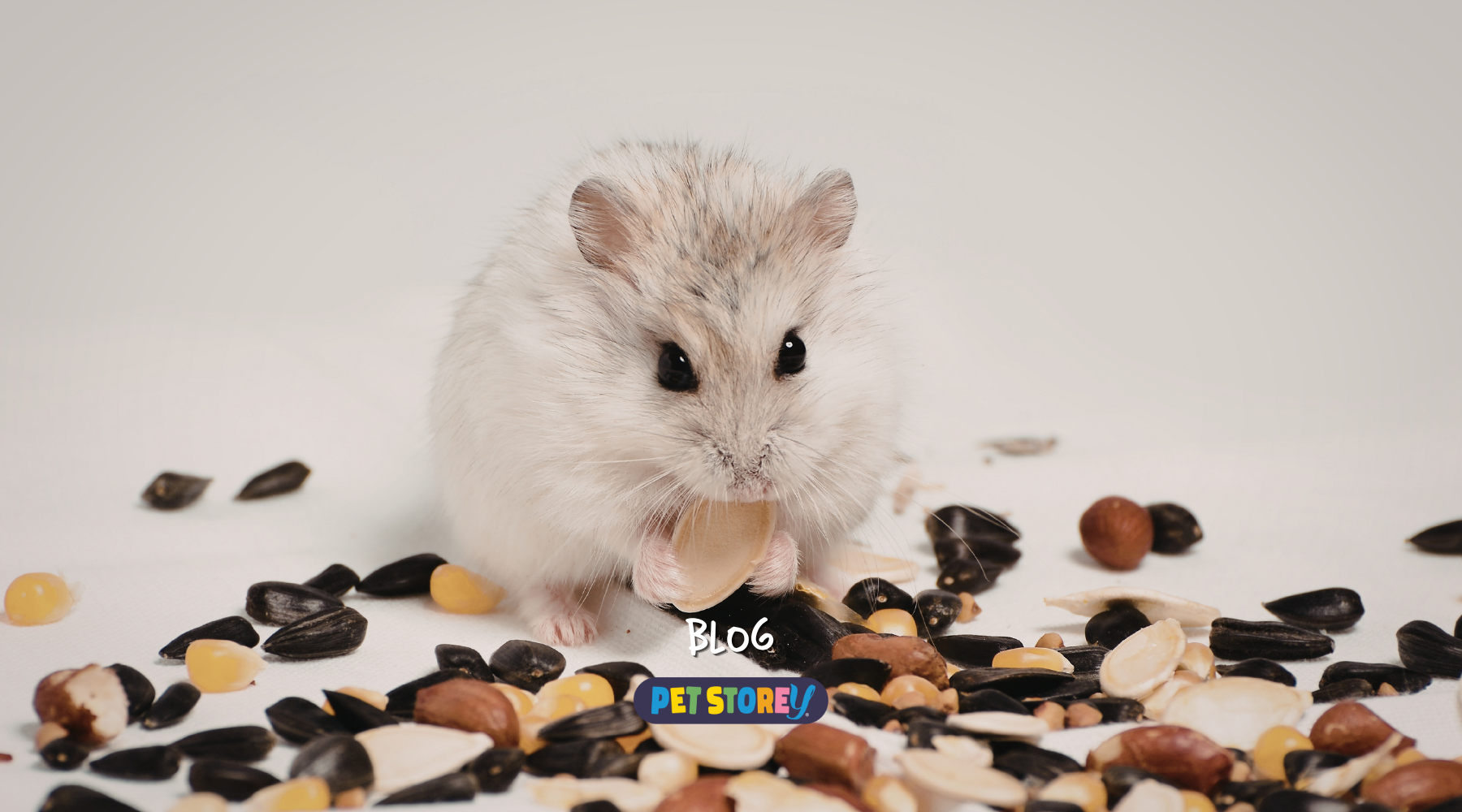 Introduction to Pet Nutrition: A Complete Guide for Pet Owners