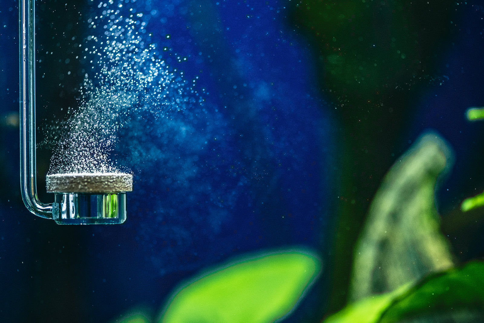 Choosing the right filtration equipment for your size aquarium?