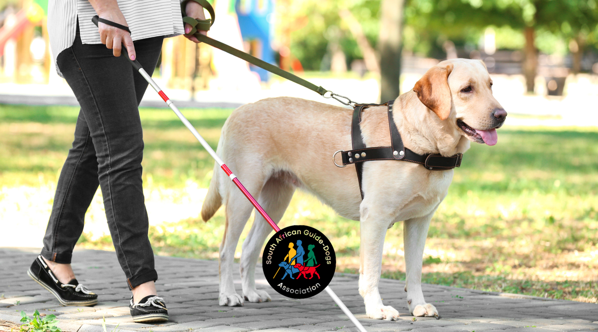 Pet Storey Named Official CSI Partner of Choice 2026 for SAGDA