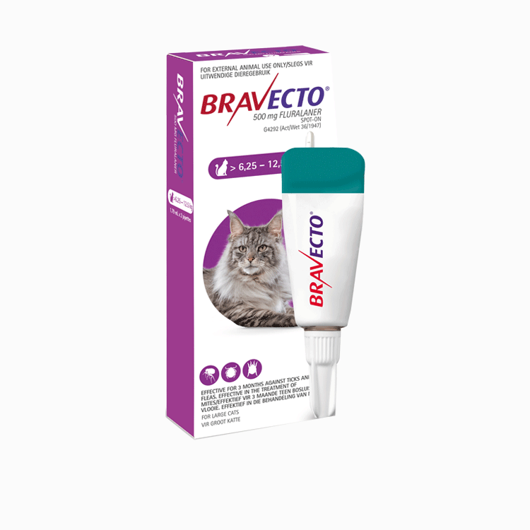 Bravecto Tick & Flea Spot On