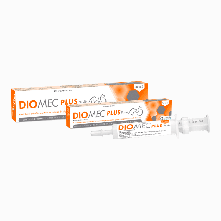 Diomec Plus Paste For Cats & Dogs