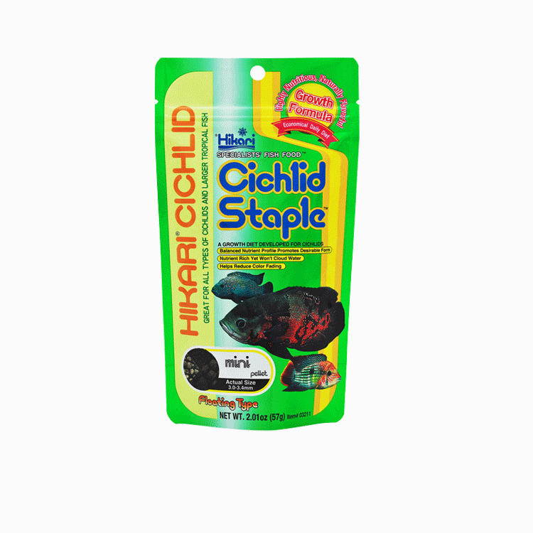 Hikari Cichlid Cichlid Staple