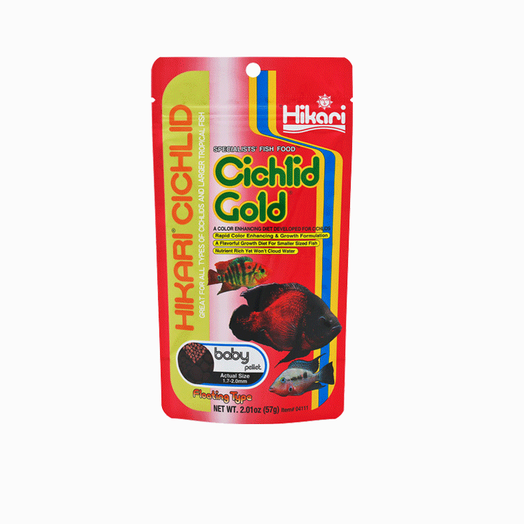 Hikari Cichlid Gold