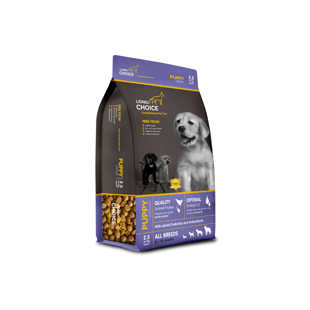 LIONEL'S CHOICE PUPPY