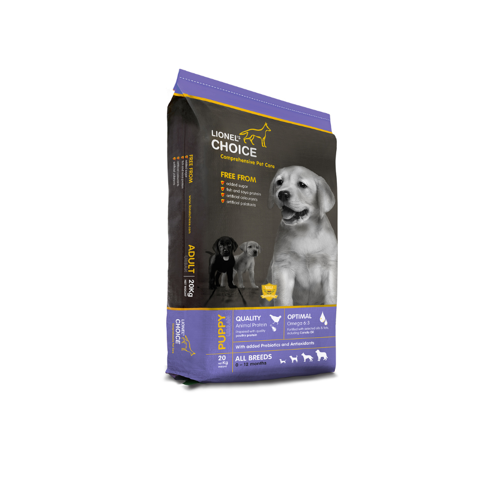 LIONEL'S CHOICE PUPPY