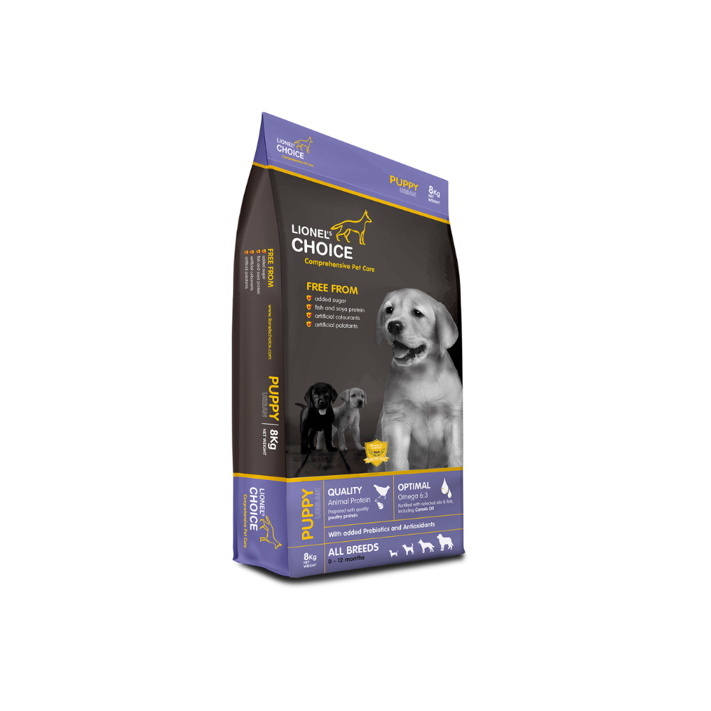 LIONEL'S CHOICE PUPPY