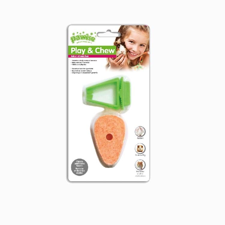 Pawise Play & Chew Carrot Toy