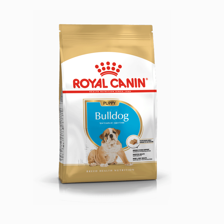 Royal Canin English Bulldog Puppy