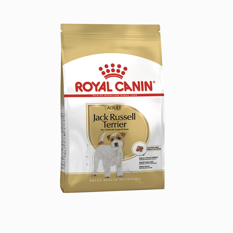 Royal Canin Jack Russell Adult