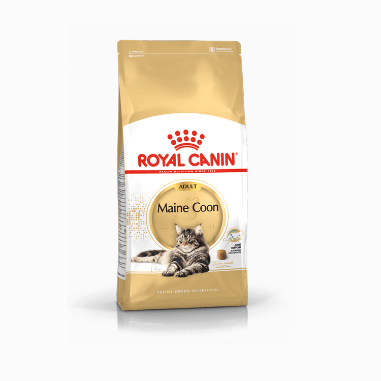 Royal Canin Maine Coon Adult