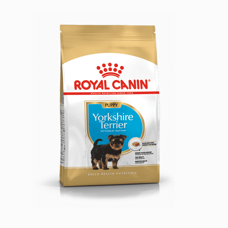 Royal Canin Yorkshire Terrier Puppy